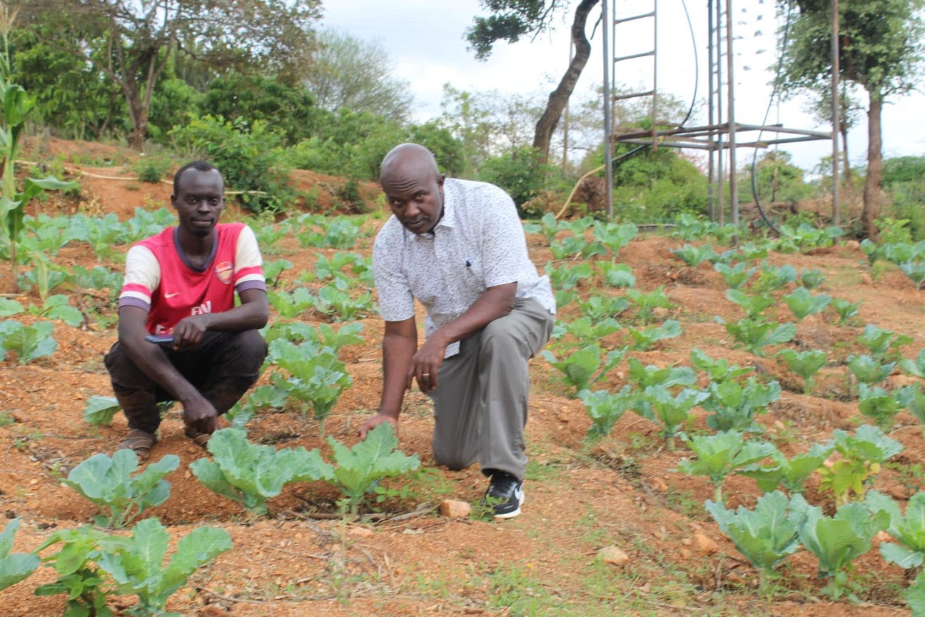 Farmers examining vegetable crops at the demonstration farm